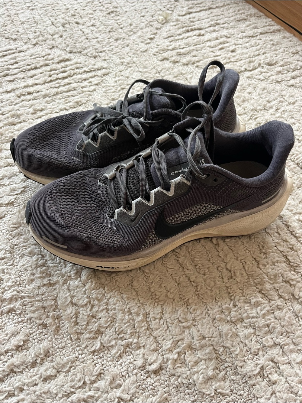 Nike Pegasus Running Shoes
